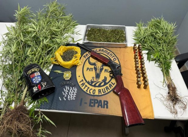 Polícia prende homem com plantação de maconha e ar
