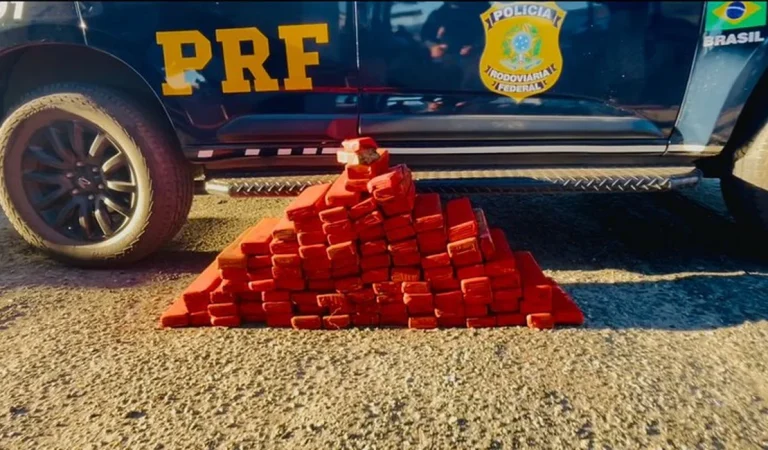 PRF apreende maconha e cocaína em ônibus que ia de